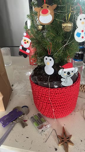ALX — Customer photo